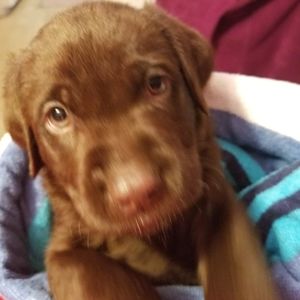 Meet your Posher, Vanessa